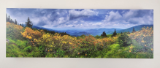 DOUG CAVANAH " PROMISED LAND " DOUG CAVANAH " PROMISED LAND "