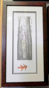 FRANKLIN GALAMBOS FRAMED HAND TINTED ETCHING " ROSE PALE " WITH EMBOSSED LEAF FRANKLIN GALAMBOS FRAMED HAND TINTED ETCHING " ROSE PALE " WITH EMBOSSED LEAF